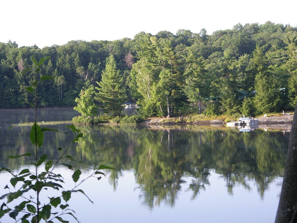Healey Lake in the Muskokas, Ontario The view of an island… Flickr