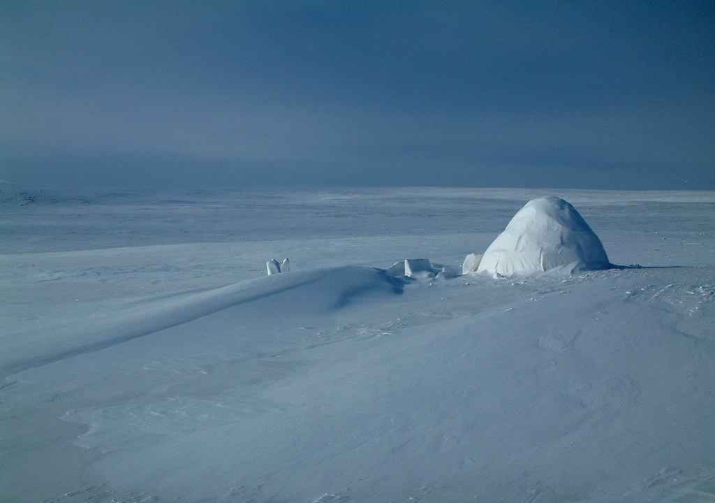 Iglu On Cornwallis Island Although all Canadian Inuit have… Flickr