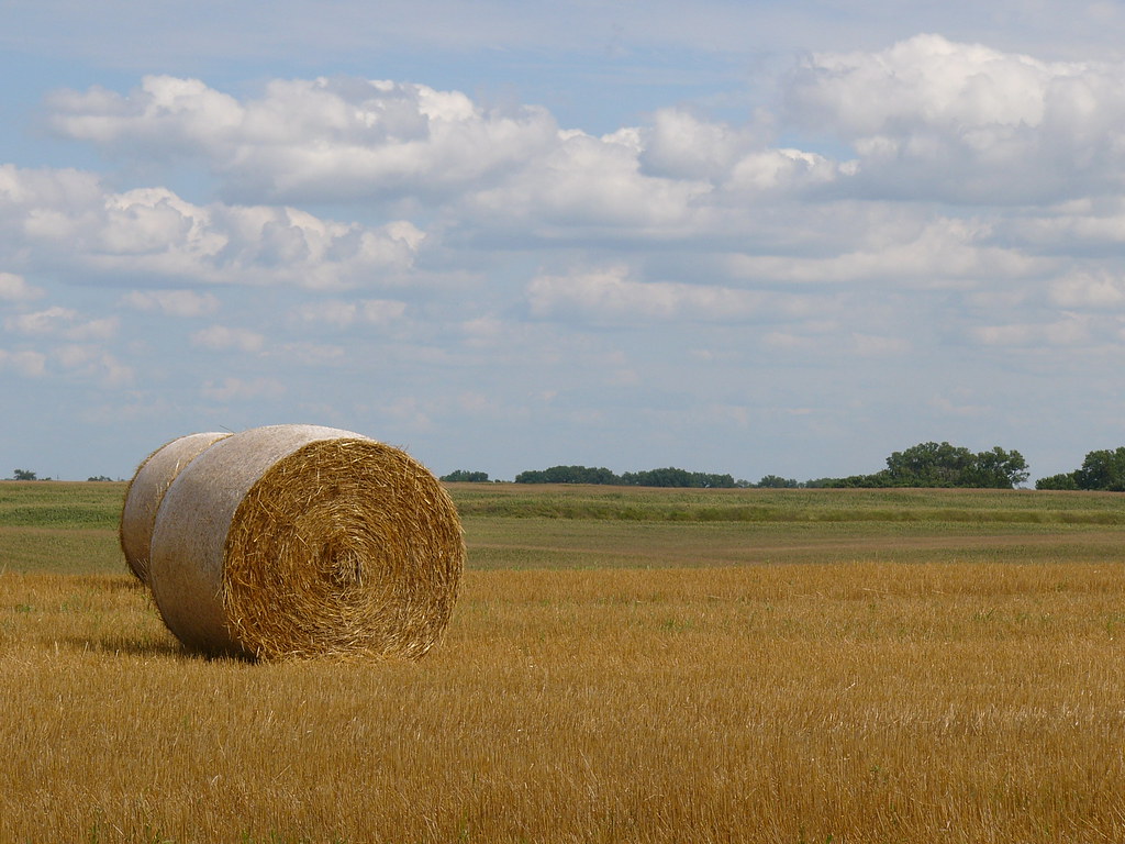 Canby, Minnesota Flickr