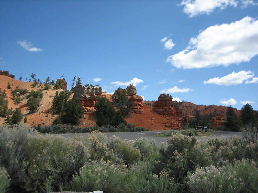 Dixie National Forest these were really impressive on the … Flickr