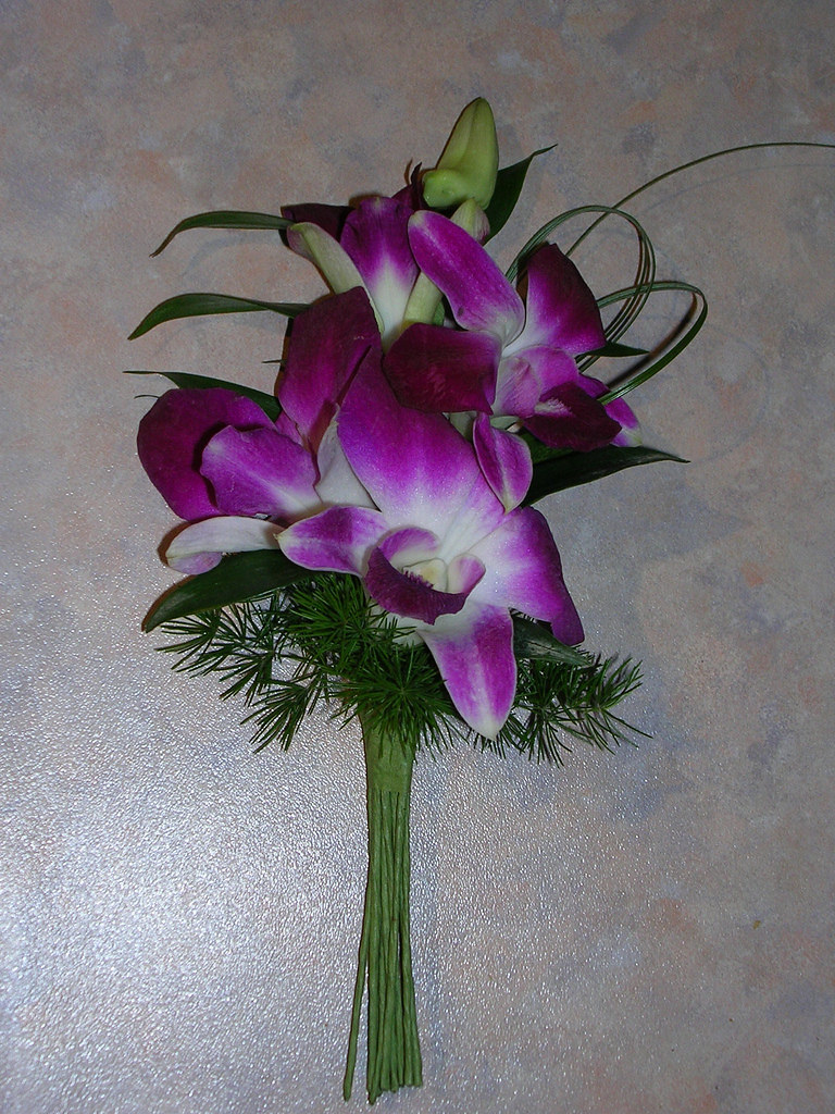 Orchid Corsage Living Fresh Flickr