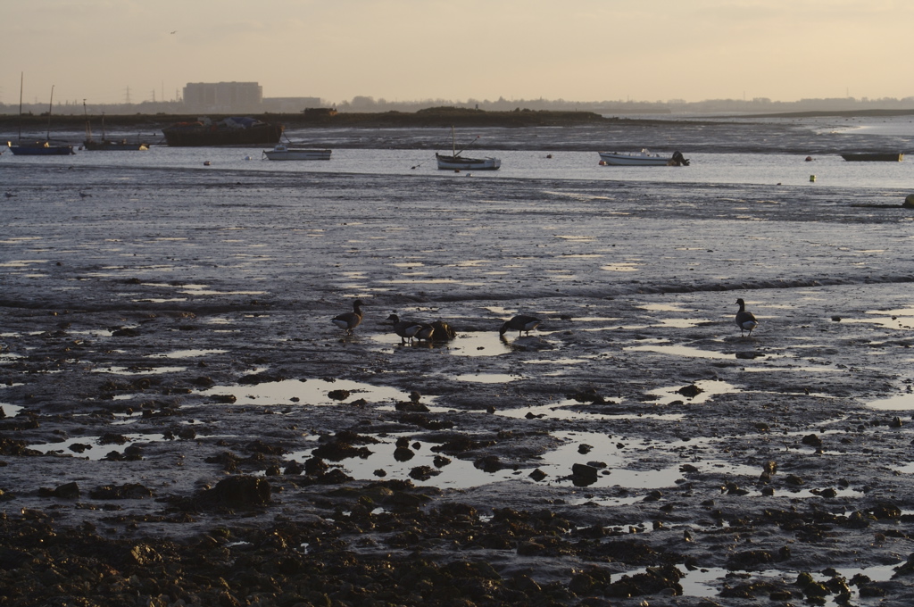 West Mersea, 2 Jan 2008 063 Since we had the rental car … Flickr