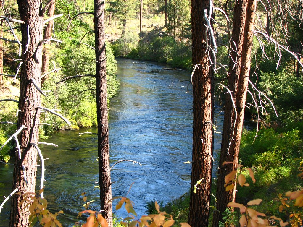 Metolius River David Berry Flickr