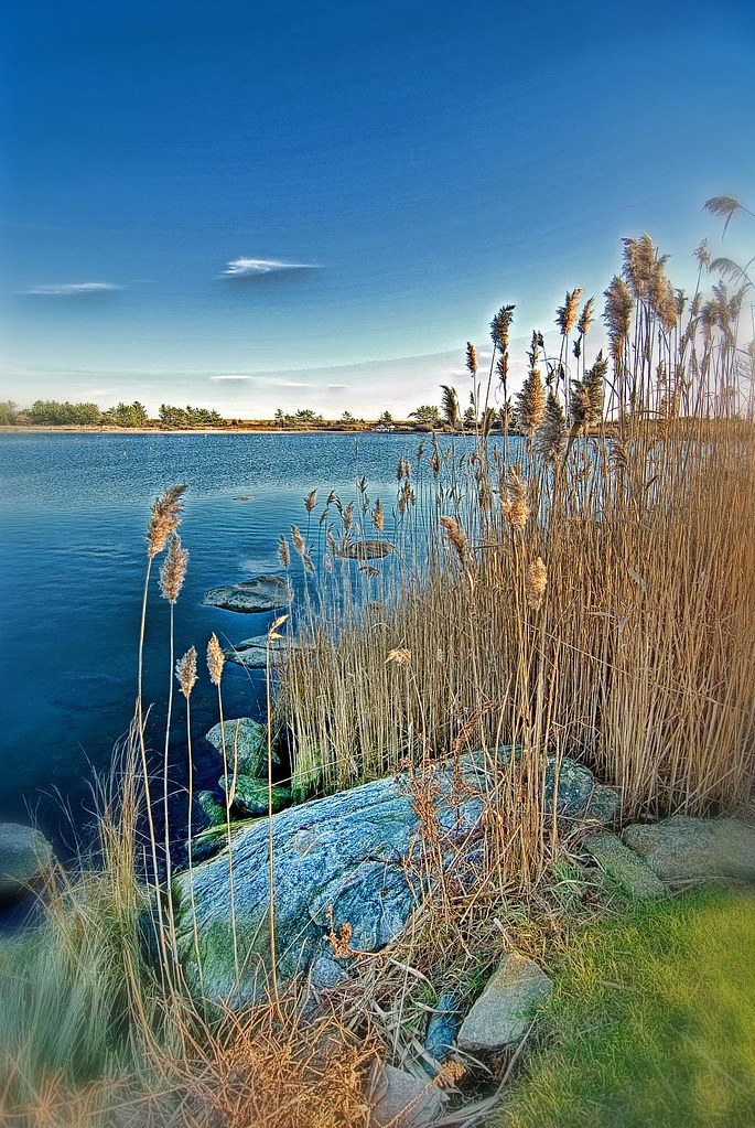 Quonnie Pond Fred Gaston Flickr