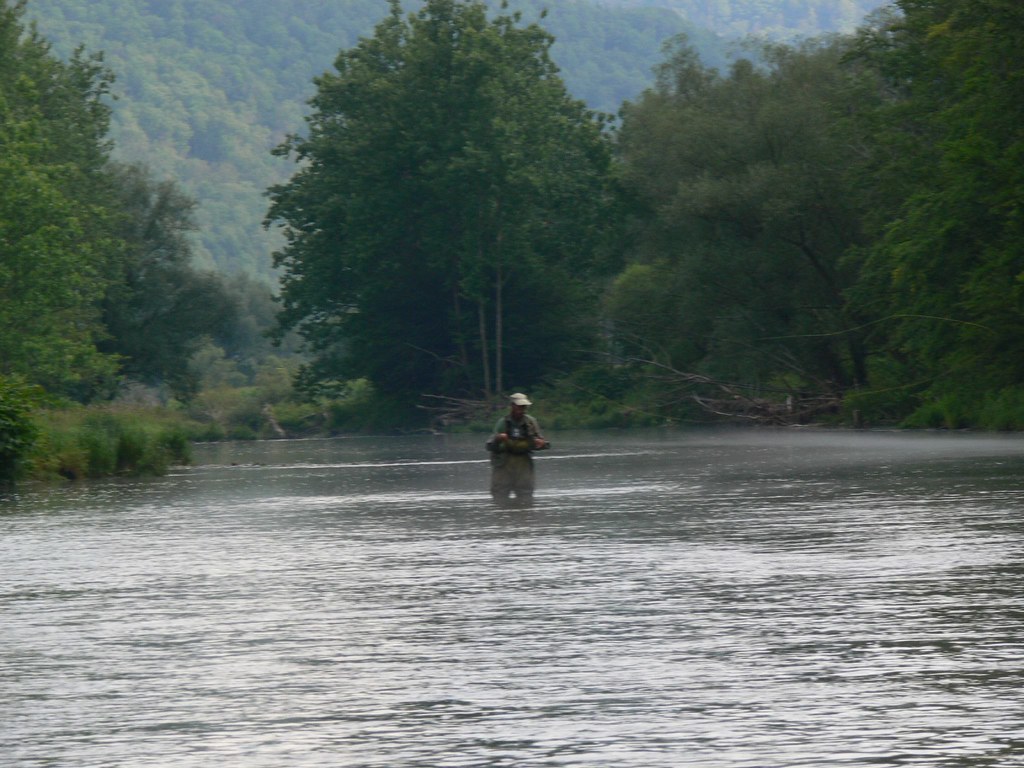 1190999 Fly fishing, East branch of the Delaware river, su… Flickr