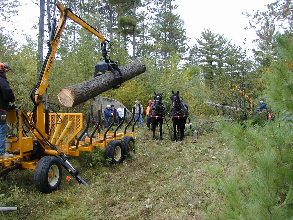 Horse logging and smallscale equipment demo, Grand Rapids MN a photo on Flickriver