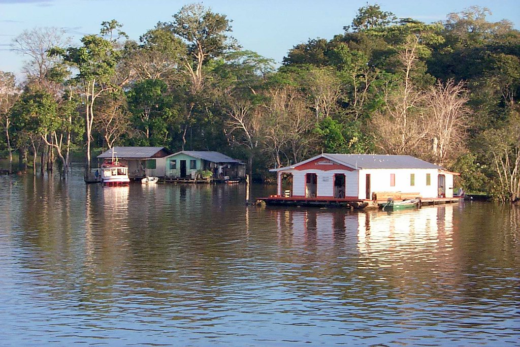 Casas flutuantes no Rio Negro Floating houses on Rio Negro… Flickr