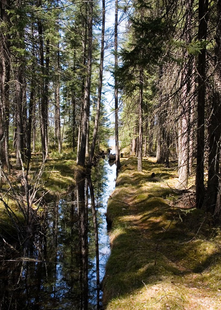 Elevation of Industrial Township, MN, USA Topographic Map Altitude Map