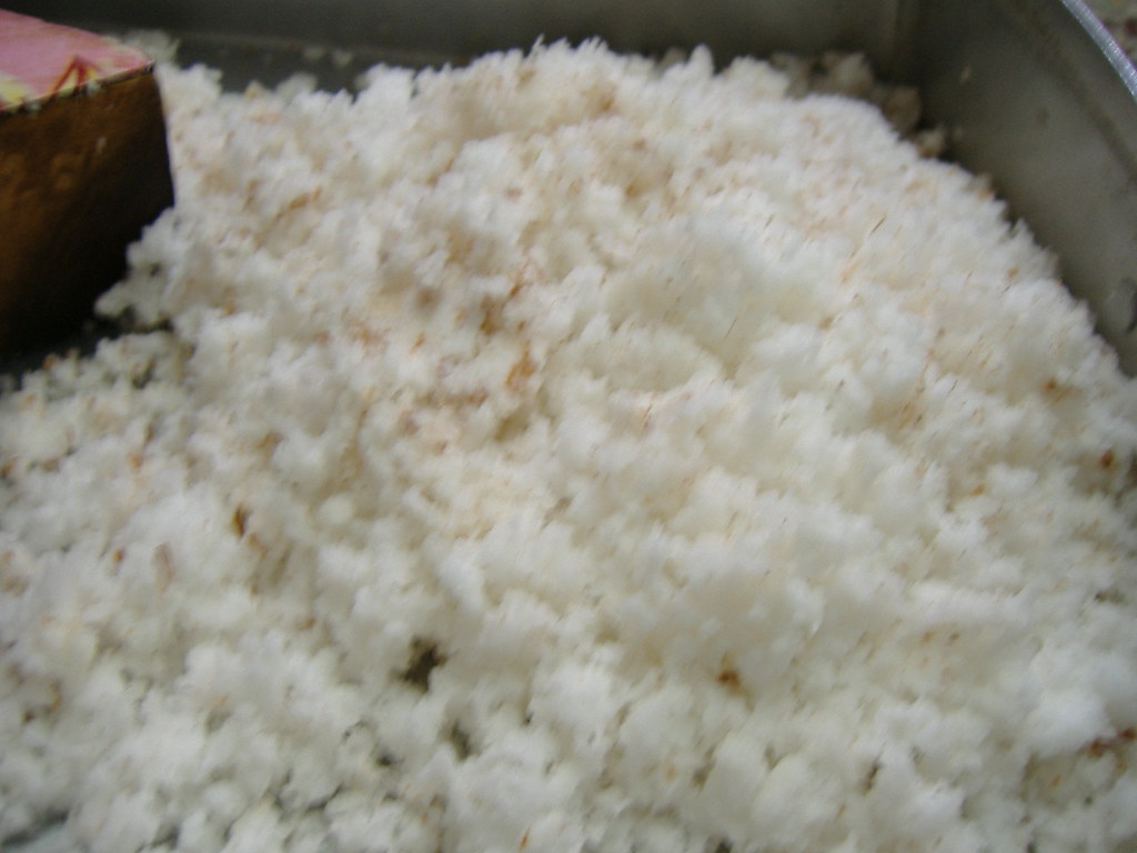 Coconut Thuruval Technofreak Flickr