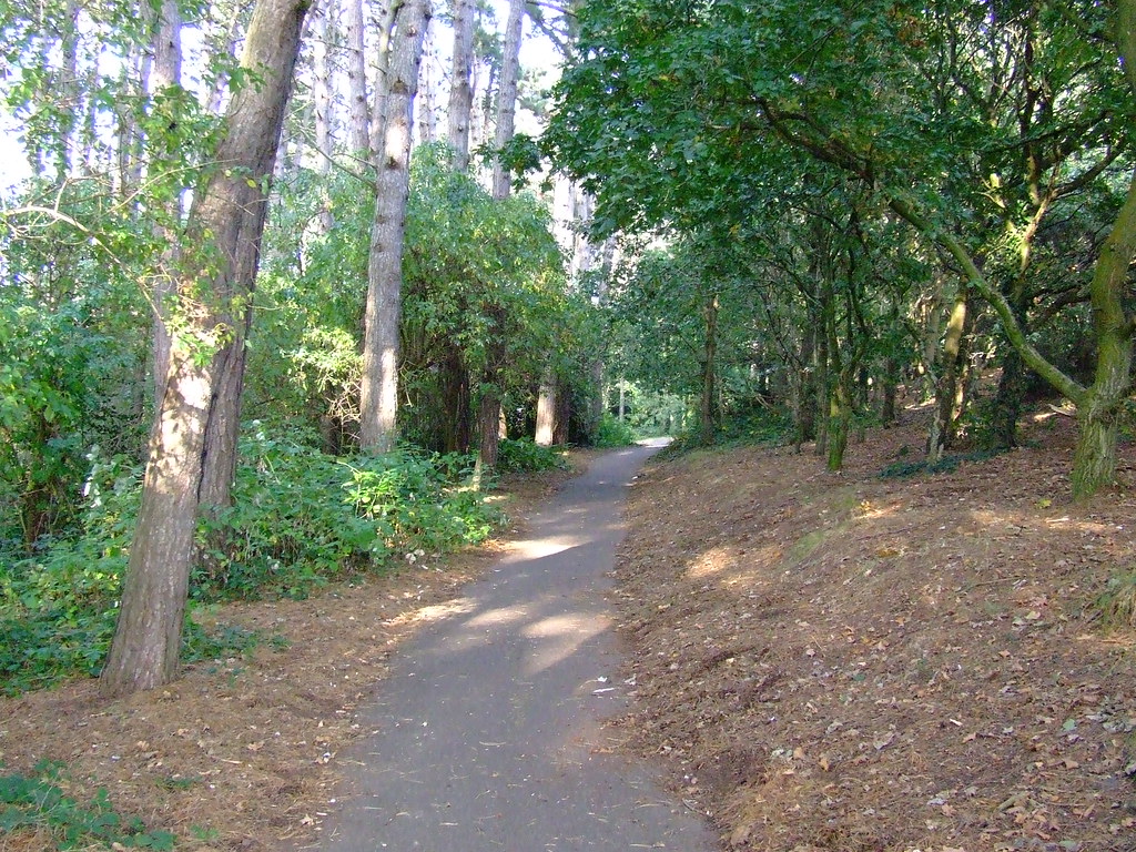 Redhill Common, Ensbury Park, Bournemouth Patrick Linsley Flickr