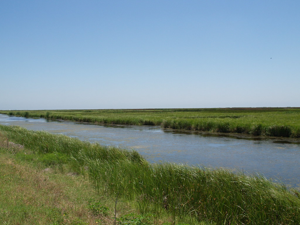 Cameron Parish Louisiana Louisiana's outback creole nature… Flickr
