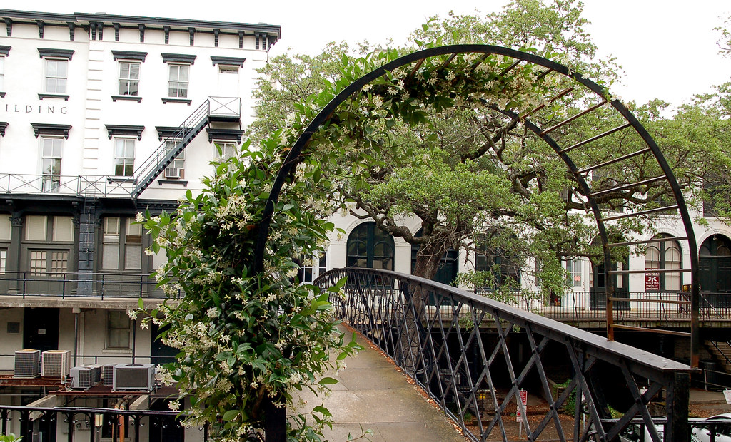 Walkway Bridge on River Street Savannah, Curious Expeditions Flickr