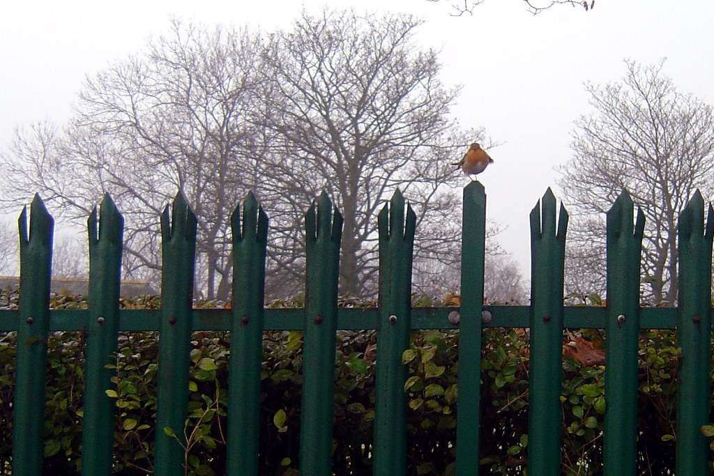 clarence park lido, bury, england, taken by mrwheezemsn.c… Flickr