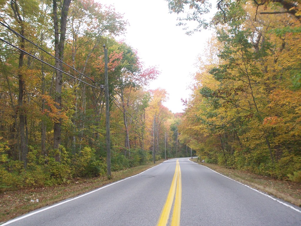 Shewville Road, Ledyard, CT Leaves,shewvilleroad,ledyard,c… Flickr