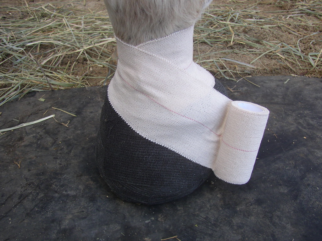 Bandaging a Hoof 012 Secure entire bandage and bootie with… Flickr