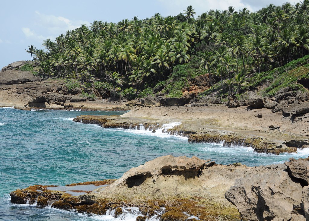 Cerro Gordo beach trail Mountain bike Puerto Rico North Co… Flickr