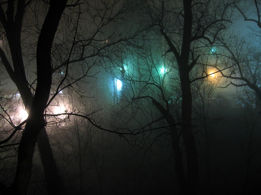 Foggy Night, Bright Lights in Trees 3 A foggy night in my … Flickr