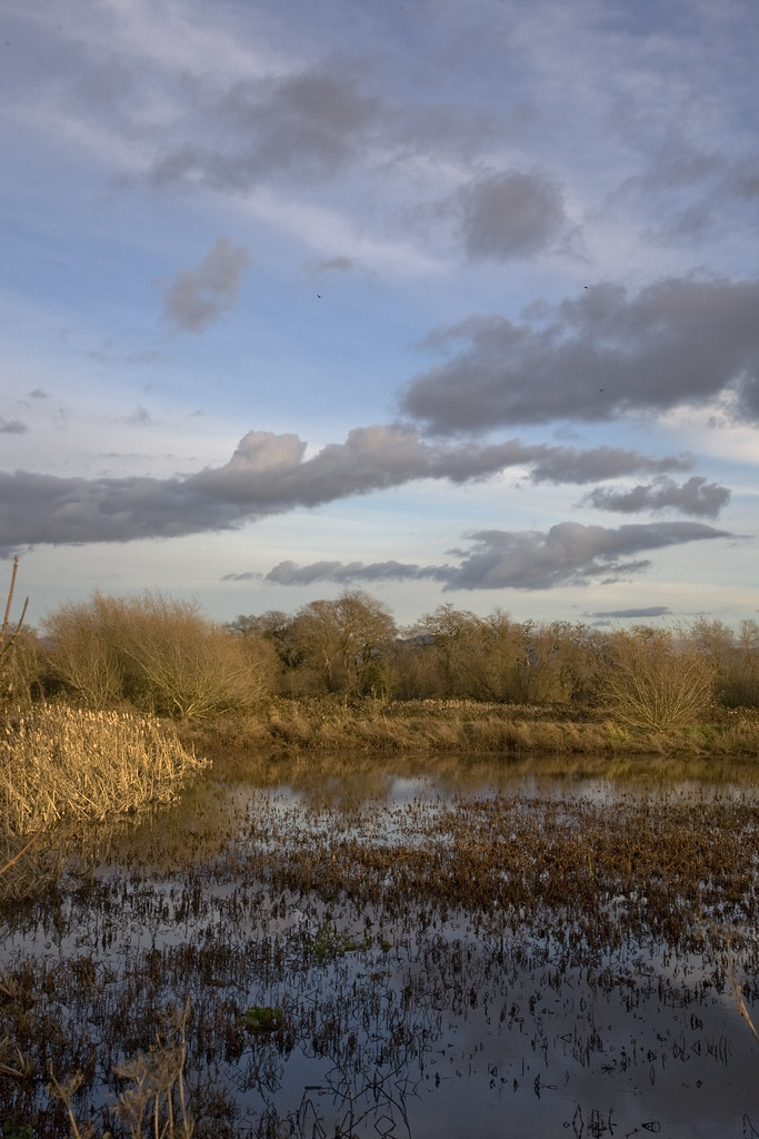Sebastopol Laguna Park Sebastopol,Ca. Tom Moyer Flickr
