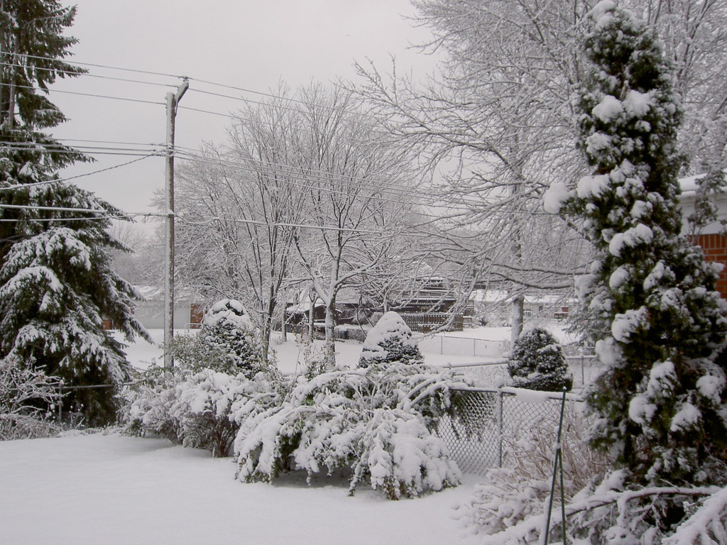 Castle Gardens Subdivison, Livonia, Michigan John Penrice Flickr