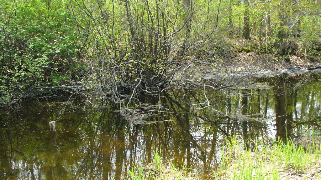 Black Creek Churchville 5 6 2008 Kayak fishing trip above … Flickr