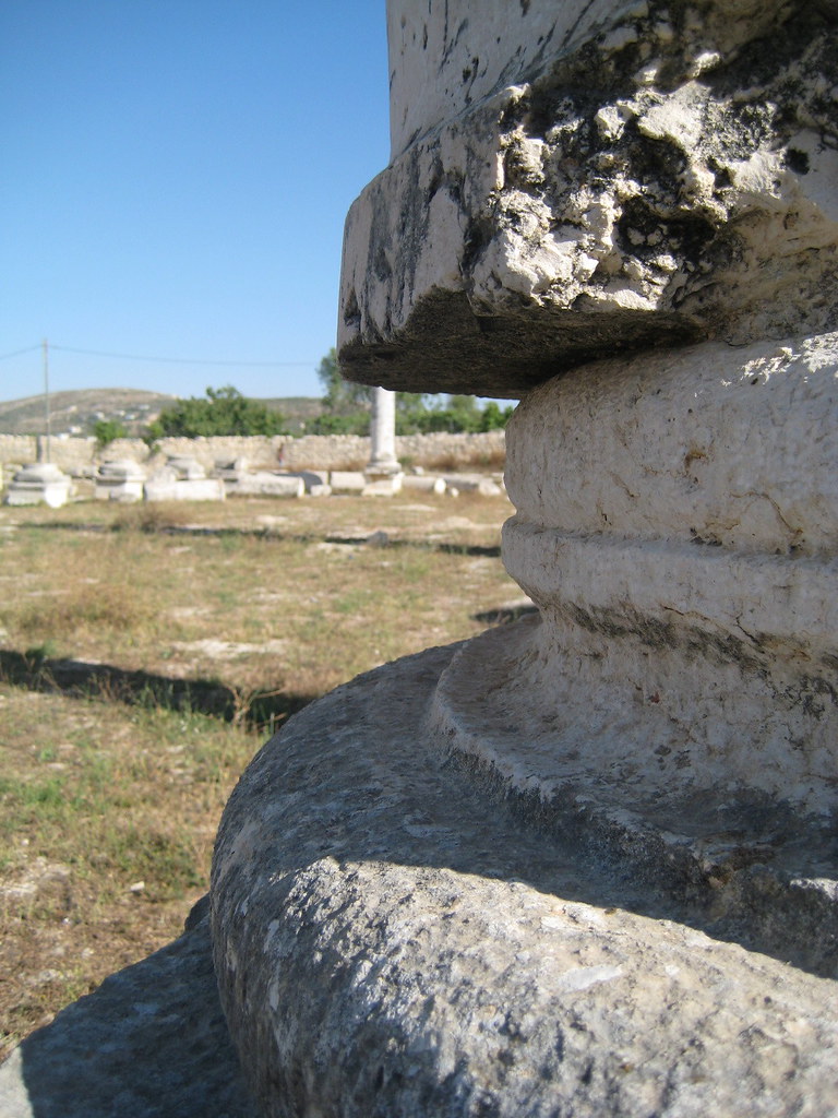 Pedestal Shot Definition at Michael Lilly blog