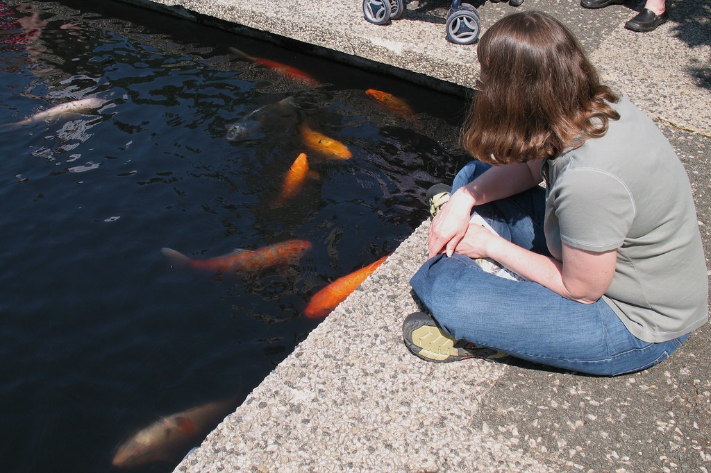 Koi Pond at the National Arboretum 2 J attracting a crowd … Flickr