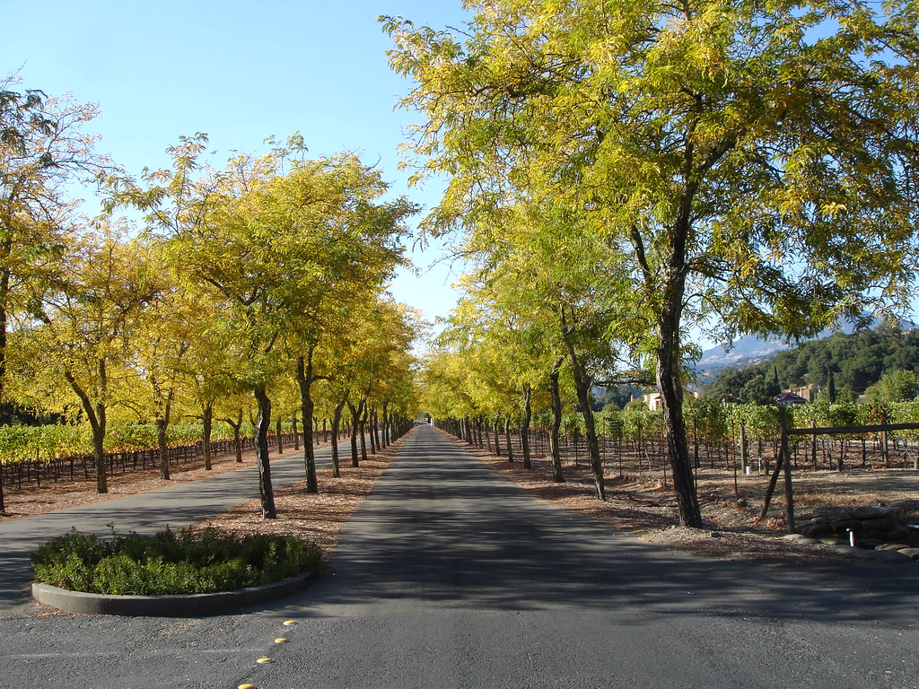 DSC02731, Sterling Vineyards, Calistoga, Napa Valley, Cali… Flickr