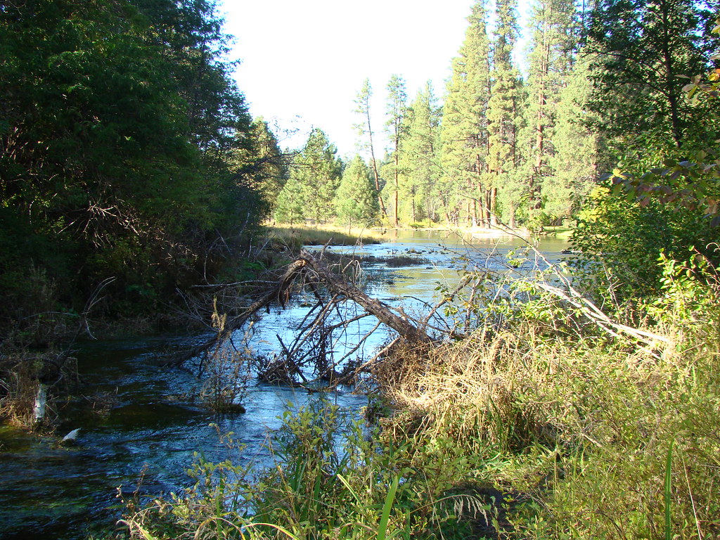 Metolius River September 28, 2007 Oregon Metolius River Sahalie