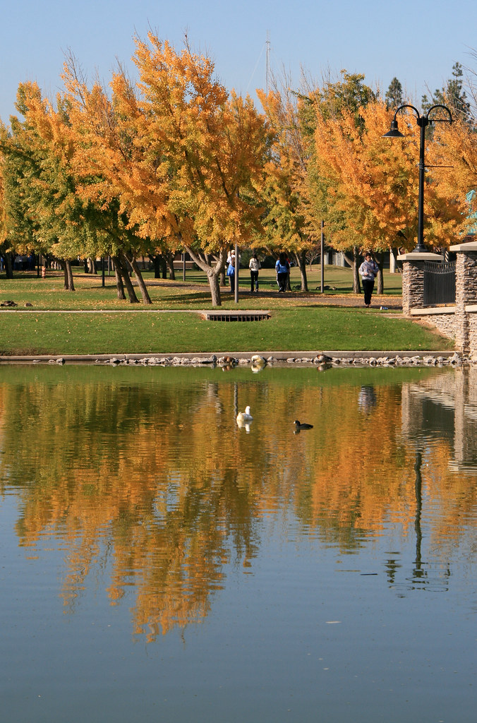 CSU Stanislaus Campus Flickr