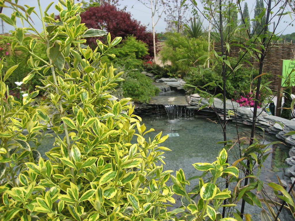 Water Garden This is Paul Dyer's Water Garden at the RHS S… Flickr