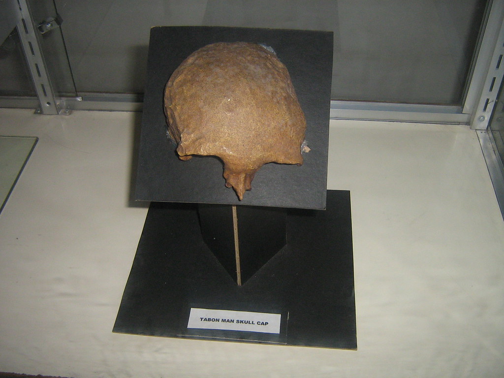 SKULL OF TABON MAN a photo on Flickriver