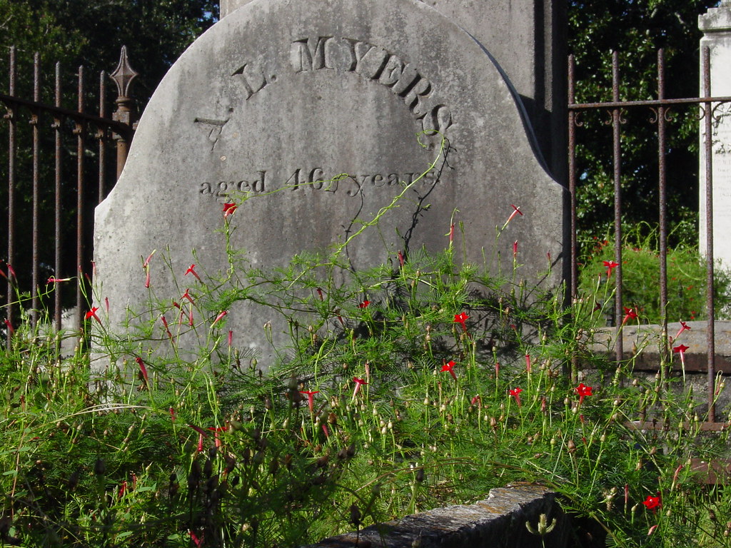 Church Street Graveyard, Mobile, AL Amy Walker Flickr