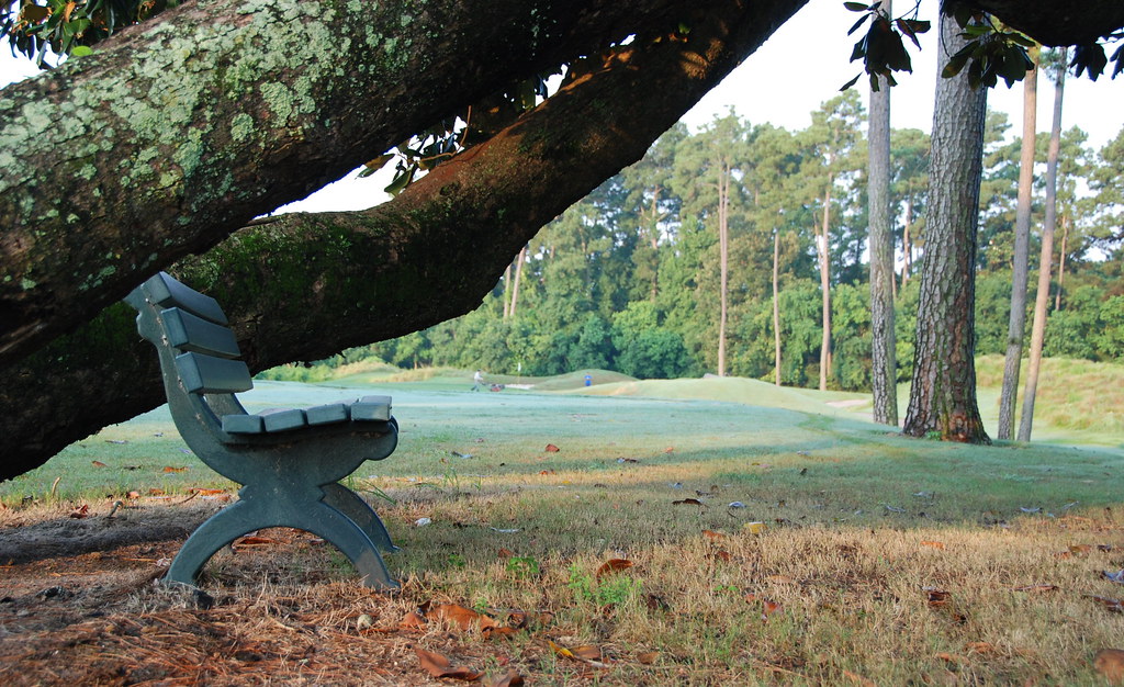 Kingwood greens forest course 6 in kingwood, tx hannu & hannele