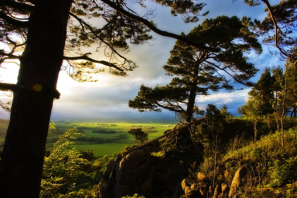 Gillies Hill I recently read there are plans afoot to rest… Flickr