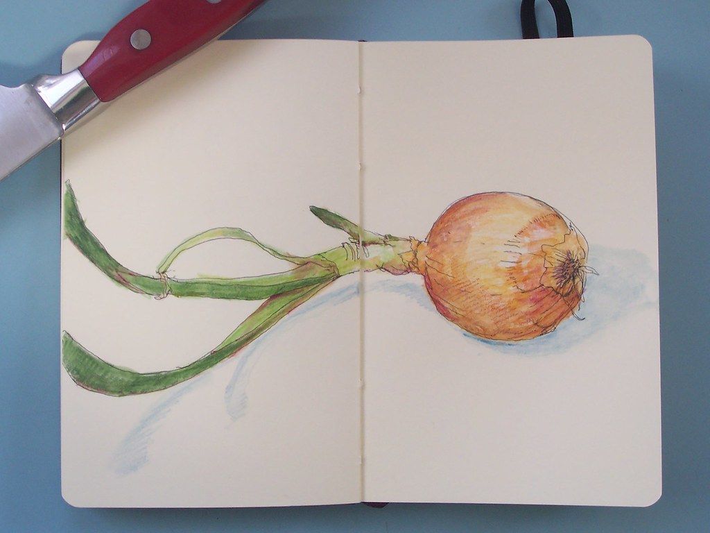 cliche onion sketch a photo on Flickriver