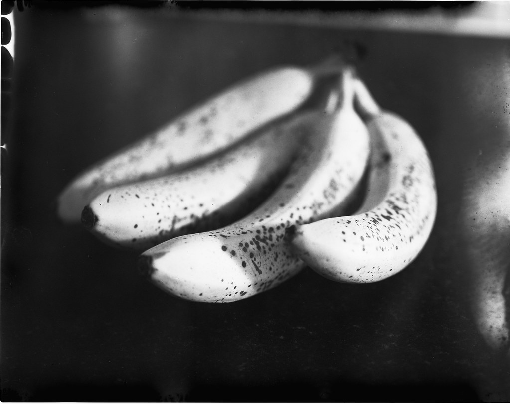 Bananas New55PN negative scan, MPP Mk8 shot at ISO 80, gen… Flickr