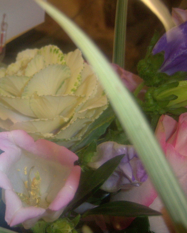 HEALING FLOWERS Flickr