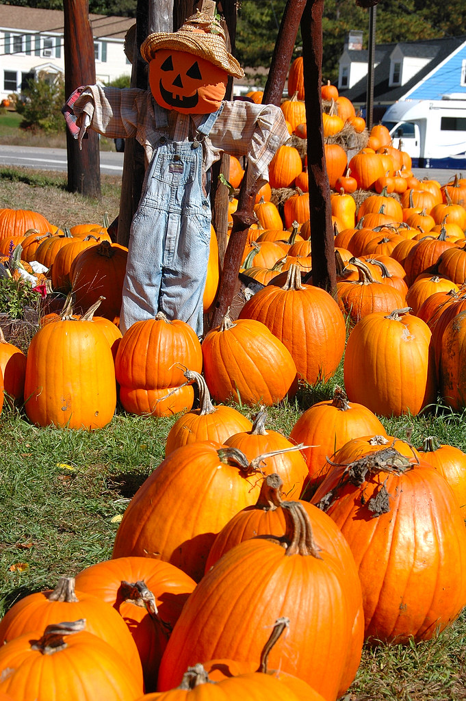Halloween New Hampshire bart coessens Flickr