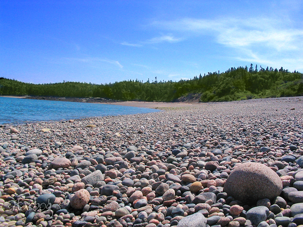 Seeleys Cove NB Harbog Flickr