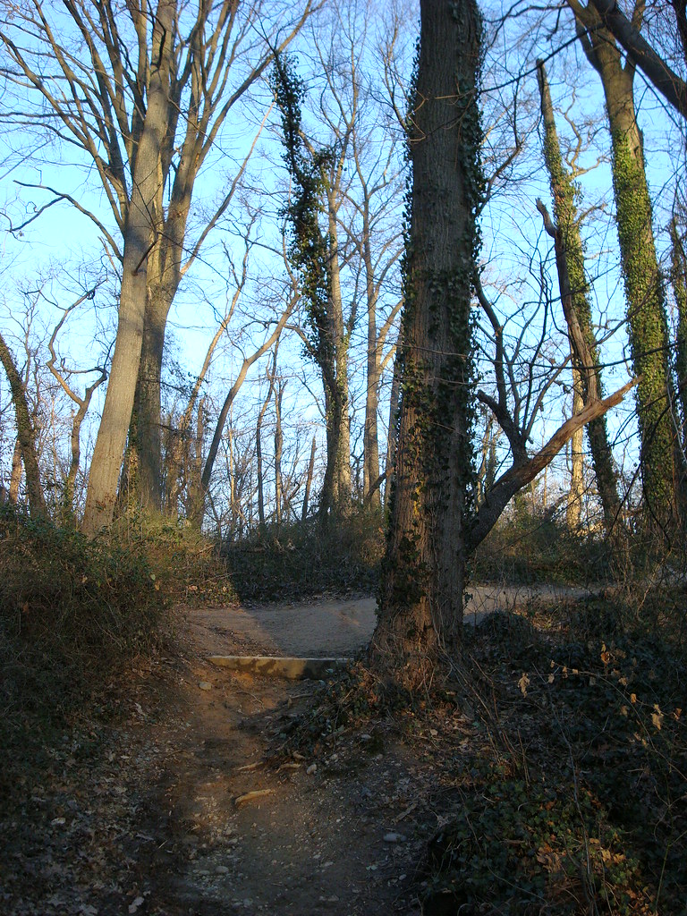 February 2, 2008 Whitehaven Park in Winter julibud102 Flickr