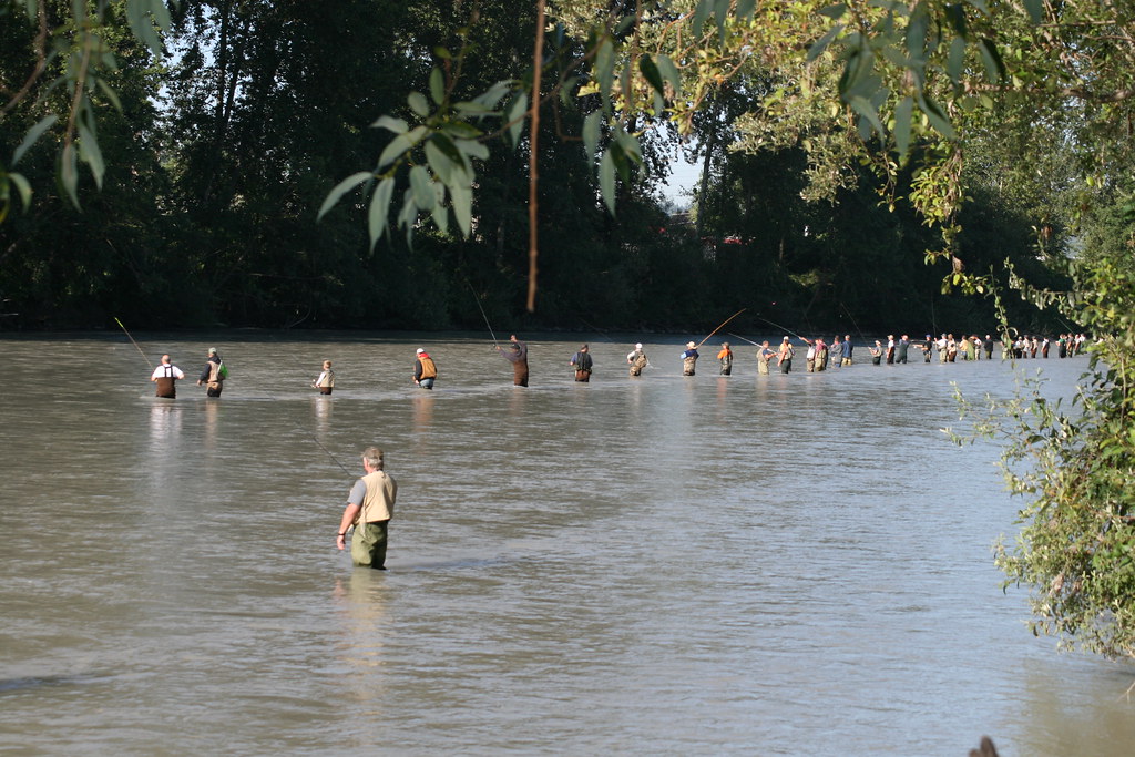 Fishing The Puyallup River Salmon fishing August 27