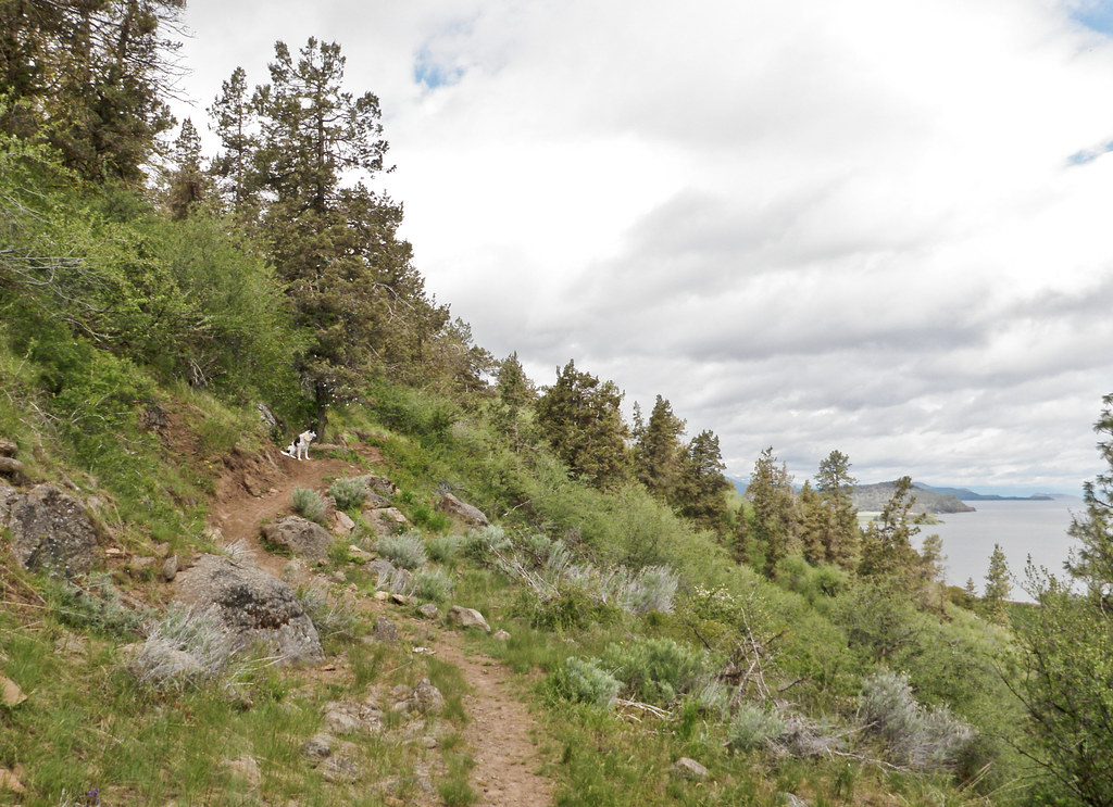 Ridgeview Trail Klamath Falls Mountain Bike Trails Flickr