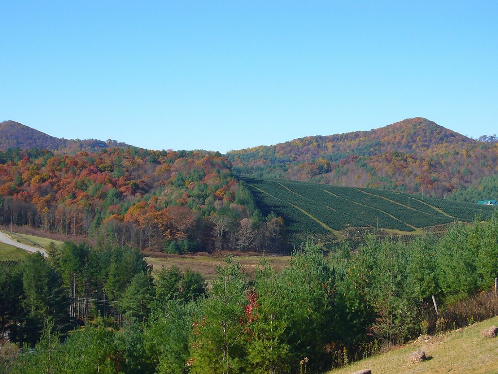 Elevation of Overlook Dr, Crumpler, NC, USA Topographic Map