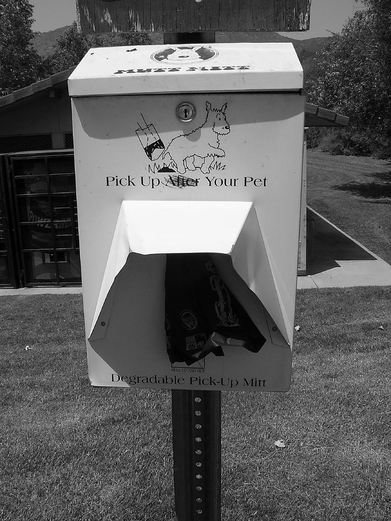 The Burbs Whoever designed Oak Park, our little corner