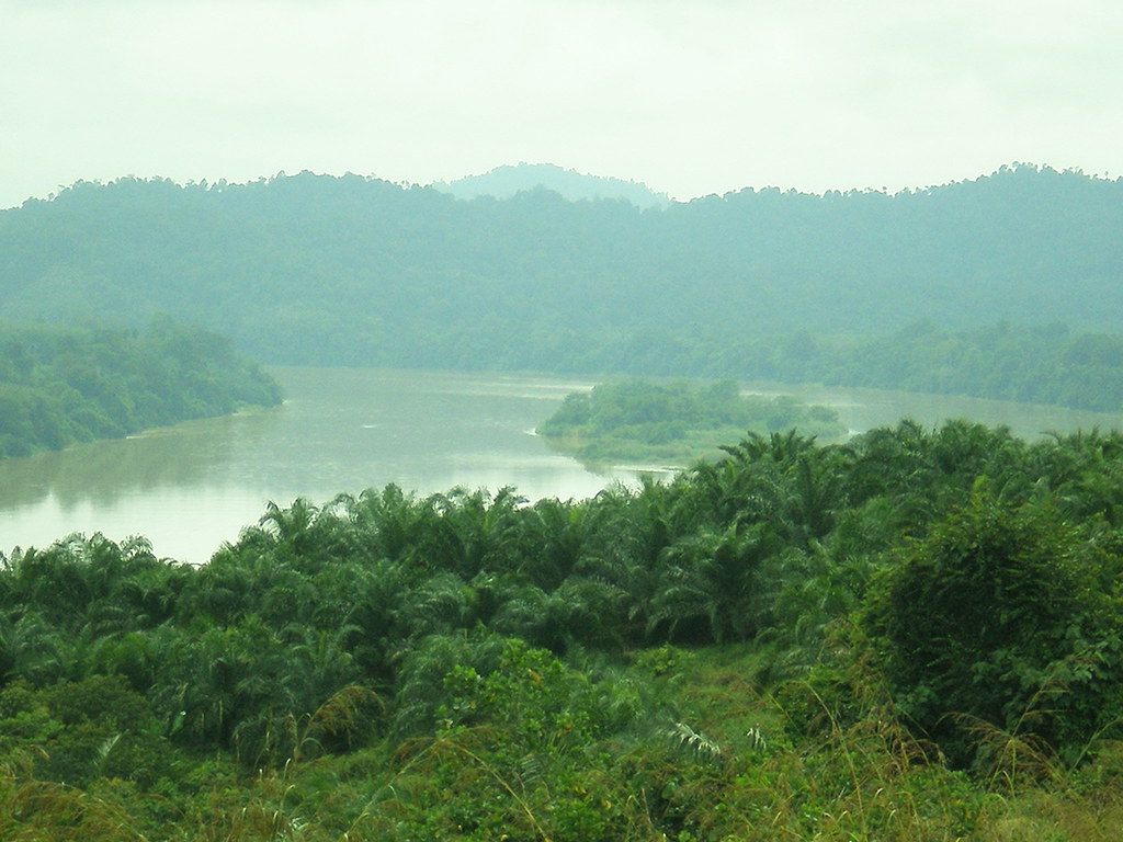 sungai pahang taken from old road to pekan my_mazwan
