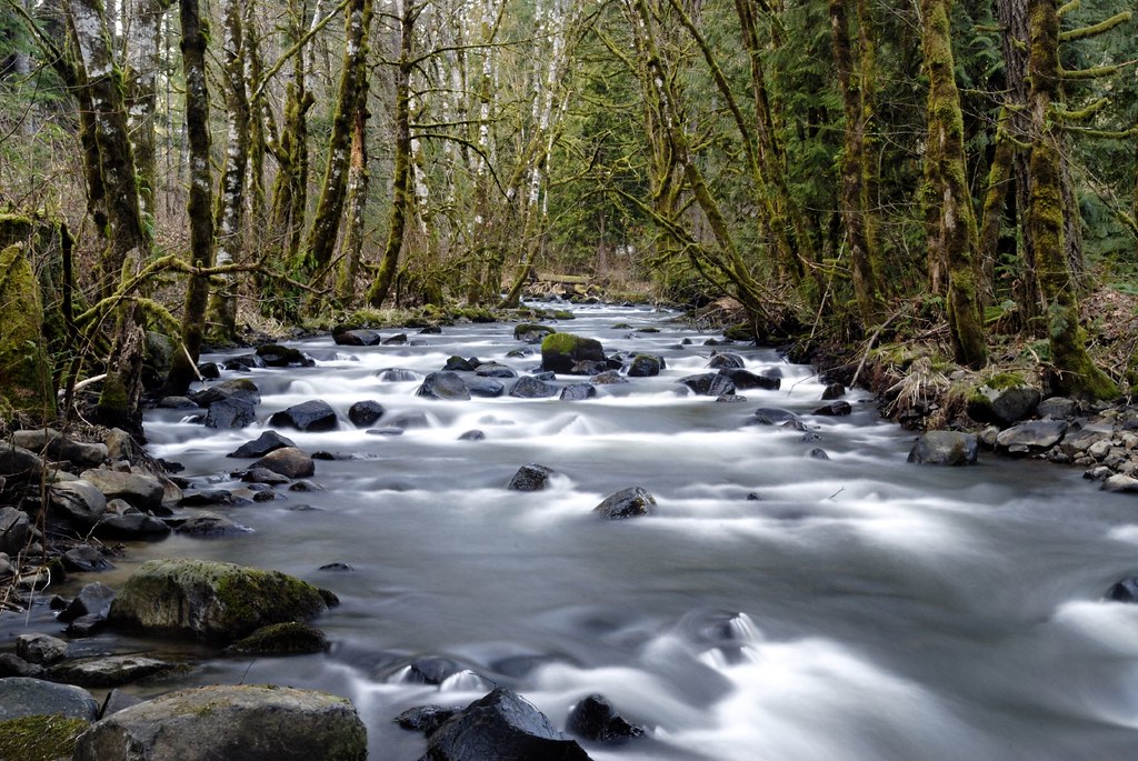 022008 031 North Fork Scappoose Creek ScappooseVernoni… Flickr