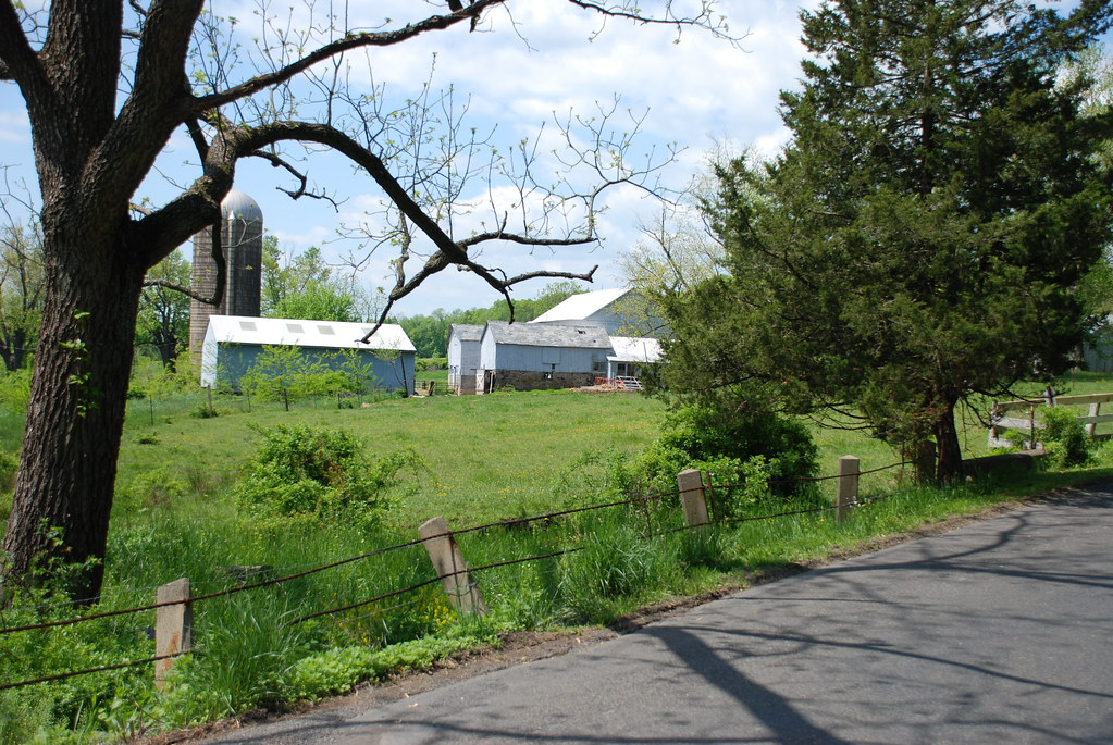 A New Jersey Farm Across from where the wedding brunch was… Joe