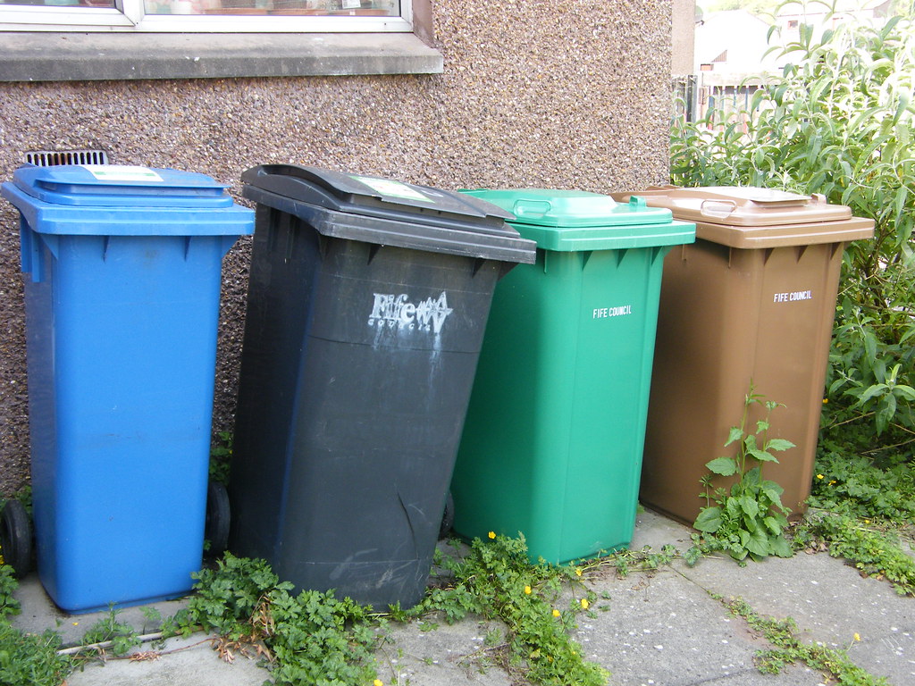 Collection of Bins How many more can the council give us??… manda