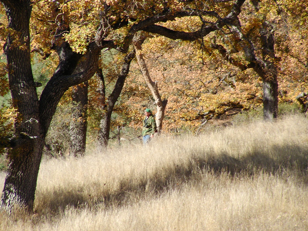 Hunting at Fort Hunter Liggett Jim hunting. Bob n Renee Flickr