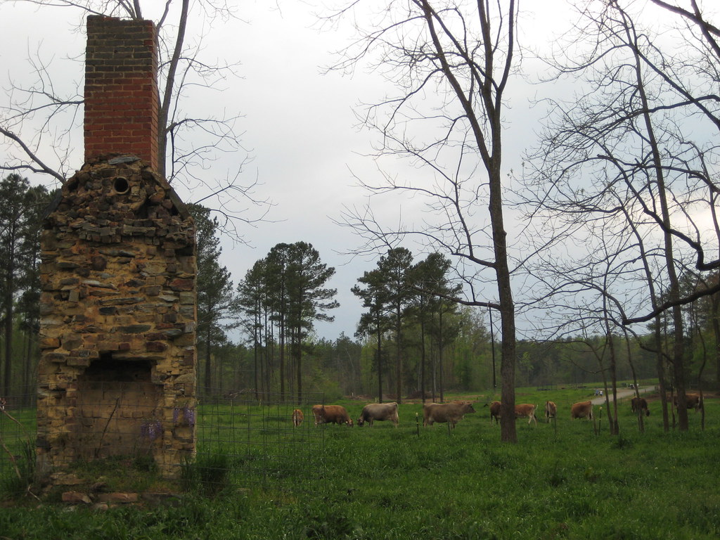 Chapel Hill Creamery Chapel Hill, NC Jason Adams Flickr